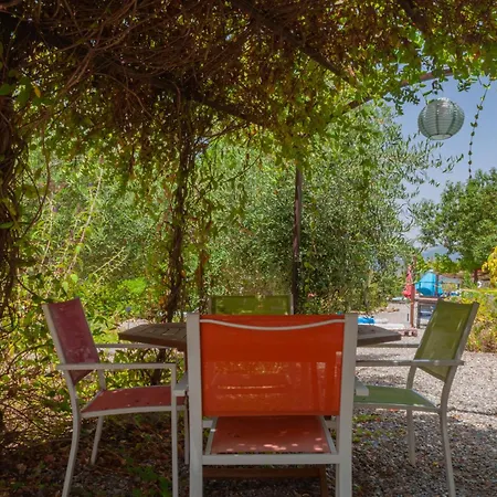 Nido Aguila Blanca Guaro